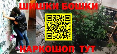 PSILOCYBIN Гатчина