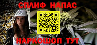 PSILOCYBIN Гатчина