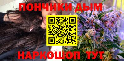 PSILOCYBIN Гатчина