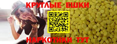 PSILOCYBIN Гатчина