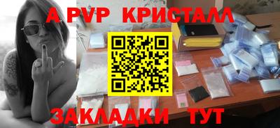 PSILOCYBIN Гатчина