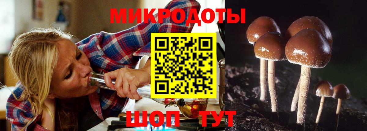Галлюциногенные грибы прущие грибы Обь