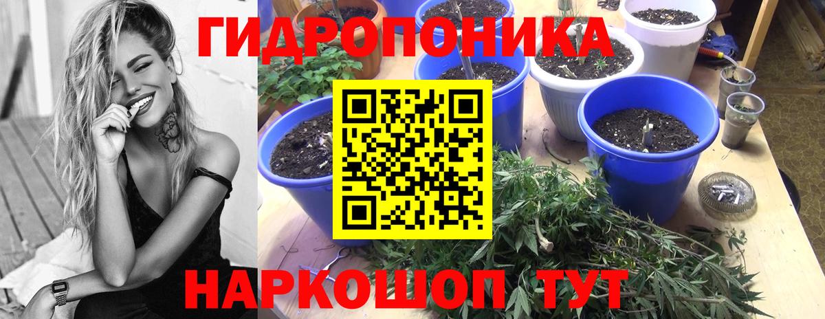 Бошки Шишки семена  Бошки Шишки White Widow  Канабис Amnesia  Обь  Вход с VPN 